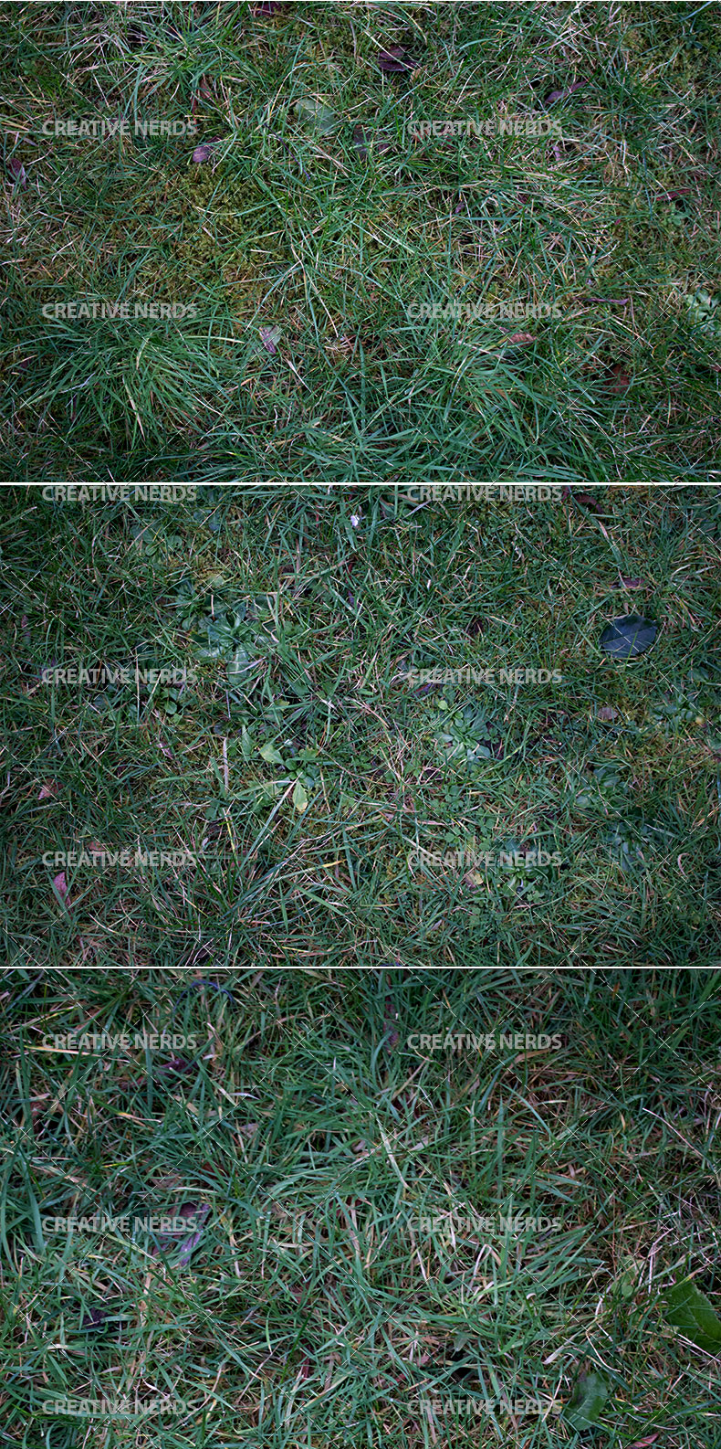 long-grass-texture-preview.jpg