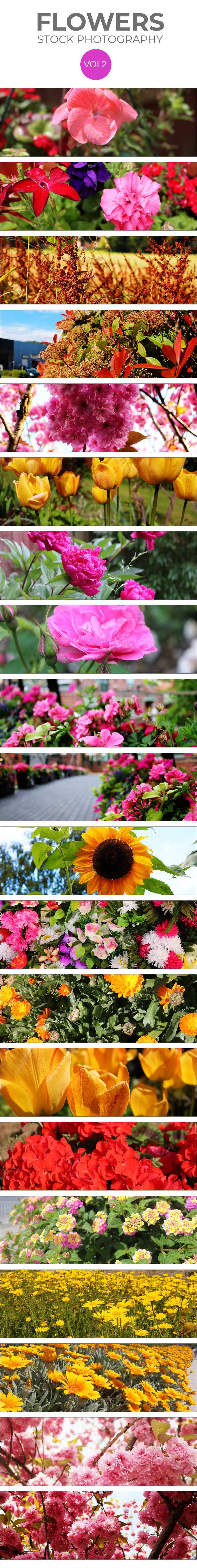 stock-flowers-vol-2